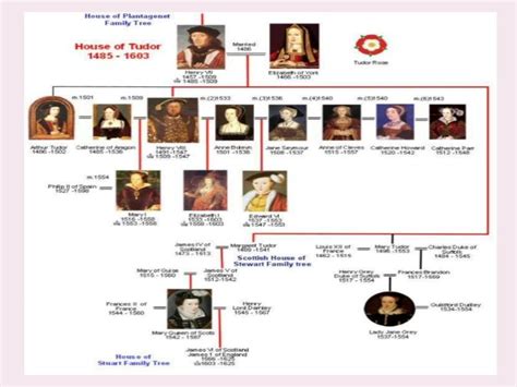 unità didattica in inglese inizio dinastia tudor|The Tudor's dynasty .